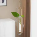 Vaso idroponico in vetro appeso nordico struttura in metallo dorato vaso da parete per piante - Taglia M / Oro