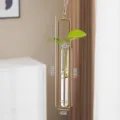 Vaso idroponico in vetro appendibile nordico per la decorazione del soggiorno moderno. - Taglia L / Oro