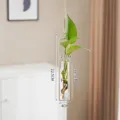 Vaso idroponico in vetro sospeso nordico con struttura in metallo e pianta verde per arredo. - Taglia S / Bianco
