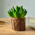 Artificial succulent plant in wooden log pot for home decor, small faux plant ornament - Log Nut Green