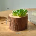 Wooden tree bark succulent flower pot mini desktop ornament home decor plant container 1pcs - Log Gem Lotus
