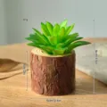Wooden tree bark succulent flower pot creative log plant container home desktop decoration - Log Green Aloe