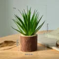 Artificial succulent plant in wooden bark pot home decor small flower pot height 15cm - Log Sword Grass