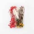 Detailansicht von getrockneten Blumen in einer Box, ideal für DIY-Bastelprojekte geeignet. - Blumenmaterial-Paket B
