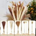 Dried pampas grass bouquet with reed, bunny tails and wheat stalks for home decor. - 100 Pcs Combination 2 (With Box)-HS100
