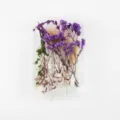 Trockene Blumen gepresste Blumen Set für DIY Epoxidharz Kerzen Kunst Handwerk Basteln - Blumenmaterial-Paket D