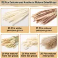 110pcs Natural Dried Pampas Grass Bouquet Rabbit Tail Reed Boho Home Decor Floral - 110 Pcs Combination 2 (With Box)-HS149