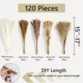 120 Pcs Dried Pampas Grass Bunny Tails Reed Bouquet Natural Floral Wedding Decor DIY - 120 Pcs Combination 1 (With Box)-HS69
