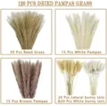 120 pcs dried pampas grass natural reed grass white brown pampas bunny tails decor - 120 Pcs Combination 2 (With Box)-HS44