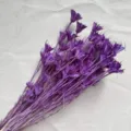 Ramo de flores secas de anís estrellado morado para decoración del hogar, arte floral y San Valentín. - Púrpura profundo