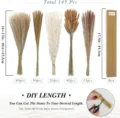 Natural dried pampas grass bouquet 145 pcs fluffy reed plumes for boho home decor and wedding floral - 145 Pcs Combination 1 (With Box)