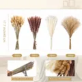 Natural dried pampas grass bouquet set fluffy bunny tails floral decor 45cm home arrangement - 190 Pcs Combination 1 (With Box)