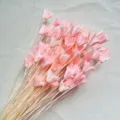 Pink dried flowers bundle for home decor floral arrangement and DIY craft making details. - Light Pink