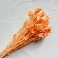 Champaña Rosado