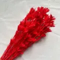 Red dried flowers natural bouquet for DIY floral arrangement home decor Valentine day gift - Red