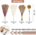 80pcs Natural Dried Pampas Grass Bouquet White Brown Reed Bunny Tails Floral Decor 15-18in - 80 Pcs Combination 2 (With Box)