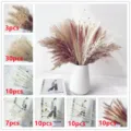 Dried pampas grass bouquet set Nordic fluffy decorative floral arrangement for living room decor - 80 Pcs Combination 7 (With Box)-HS123