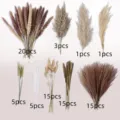 Natural dried pampas grass bouquet bunny tails wheat dried flowers for home decor wholesale - 80 Pcs Combination 1 (With Box)