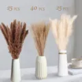 Natural dried pampas grass bouquet with ceramic vase for home decor, fluffy floral arrangement. - 90 Pcs Combination 1 (With Box)