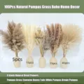 100Pcs Natural Pampas Grass Dried Flowers Boho Home Decor Bunny Tails Floral Arrangement - 100 Pcs Combination 4 (With Box)