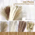 100 Pcs Natural Dried Pampas Grass Bouquet Reed Rabbit Tails Flowers Home Decor SKU - 100 Pcs Combination 6 (With Box)-HS101