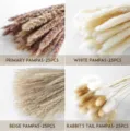 Natural dried pampas grass and rabbit tail bouquet set for Nordic home living room decor 25pcs - 100 Pcs Combination 7 (With Box)-HS100