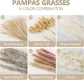 Natural dried pampas grass bouquet 6-color combination set for home decor and vase arrangement. - 100 Pcs Combination 5 (With Box)-HS54