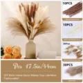 Natural dried pampas grass bouquet with bunny tails and reed grass for boho home decor. - 80 Pcs Combination 5 (With Box)-HS99