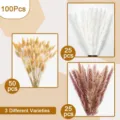 Dried pampas grass bouquet set 100pcs natural bunny tails reed flowers for home decor - 100 Pcs Combination 1 (With Box)-HS146
