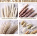 85 Pcs Dried Pampas Grass Bouquet Natural Reed Grass Bunny Tails 5-Color Combo Decor - 85 Pcs Combination 2 (With Box)-HS13