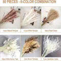 80pcs mixed dried pampas grass bouquet natural bunny tails reed home floral decor - 80 Pcs Combination 6 (With Box)-HS12