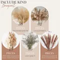Dried pampas grass bouquet set Nordic style home decor flower arrangement pieces - 85 Pcs Combination 3 (With Box)-HS46