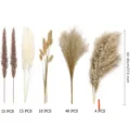 Natural dried pampas grass bouquet fluffy small reed floral arrangement 43-45cm - 84 Pcs Combination 1 (With Box)-HS112