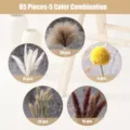 Dried pampas grass bouquet 85 pieces 5 colors mix natural fluffy reed bunny tails decor flowers - 85 Pcs Combination (With Box)-HS142