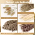 75 pieces 5 color pampas grass dried flowers bouquet bunny tails natural plant decor setup - 75 Pcs Combination 2 (With Box)-HS145