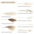 Natural dried pampas grass and bunny tails bouquet combination set for home decor. - 79 Pcs Combination 1 (With Box)-HS144