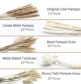 Natural dried pampas grass and rabbit tail bouquet, fluffy boho floral decor for home. - 80 Pcs Combination 4 (With Box)-HS61