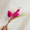 Mini bouquet di fiori secchi regalo DIY squisito decorazione floreale eterna vera pianta romantica - XH107