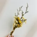 Mini ramo de flores secas, rosas amarillas y paniculata, perfecto para regalo y decoración. - Ramo de Flores Secas Naturales (XH16)