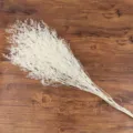 Ramo de flores secas de estátice blanca para decoración del hogar arreglo floral regalo mesa - Blanqueado Preservado 100-120g