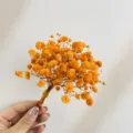 Mini dried flower bouquet natural preserved flowers for gift box wedding decoration accessories. - XH245