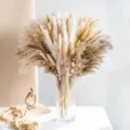 Ramo de pampas secas mezcladas con florero de vidrio transparente para la decoración del hogar. - Carrizo Hierba de Amantes Estilo de Flor Seca (ZQ05)