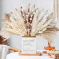 Dried pampas grass bouquet fluffy rabbit tails dried flowers natural home decor boho style - 109 Pcs Combination (With Box) - HS19