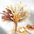 Bouquet di fiori secchi erba pampa code di coniglio decorazione boho casa variante - HS84