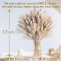 Natural pampas grass dried flowers bouquet 95pcs 17 inch fluffy bunny tails for home decor - ZQ02
