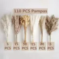 Ramo de hierba de pampa seca natural 110 pzas colas de conejo esponjosas decoración - Combo 1 de 110 Piezas con Caja