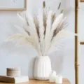 Ramo de hierba de pampas seca natural con florero de cerámica blanca para decoración del hogar. - HS05