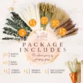 Natural dried pampas grass bouquet set, assorted botanical decor for home wedding styling. - 105 Pcs Combination 1 (With Box)-HS147
