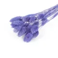 Detaillierte Nahaufnahme des lila Trockenblumenstraußes mit fluffiger Textur für Vasendekoration. - Helllila 50 Stück/Packung
