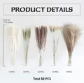 Natural dried pampas grass bouquet 50 pcs dry flowers floral arrangement home decor 44.5cm - 50 Pcs Combination 1 (With Box)-HS60
